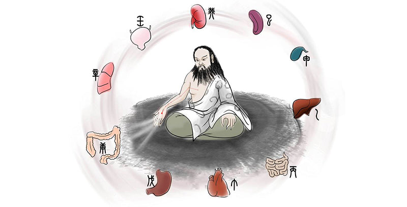 MEDICINA TRADICIONAL CHINA: EL RELOJ BIOLÓGICO