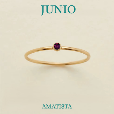 NEMESIS-RING · Edelstahl