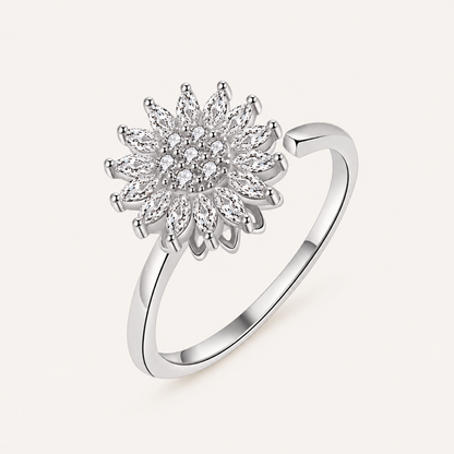 Anillo Viana
