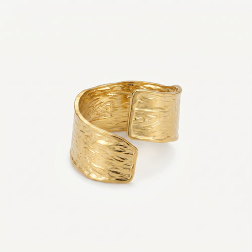 Anillo Duna