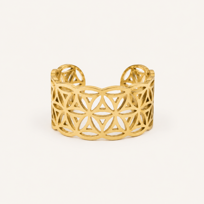 Anillo Amaia