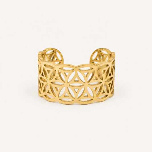 Anillo Amaia