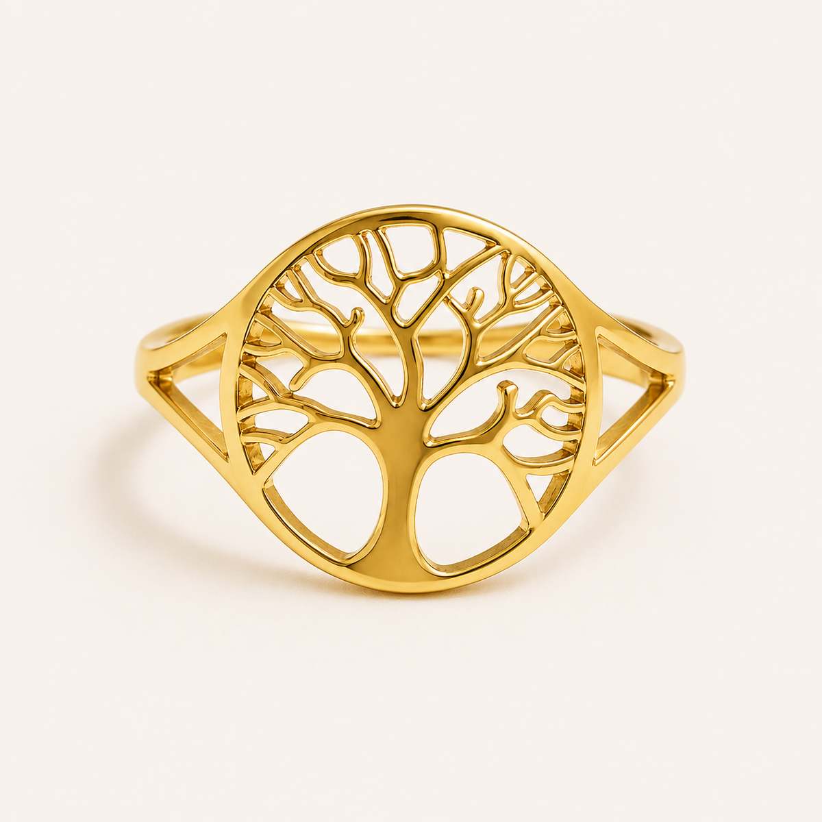 Anillo Gaia