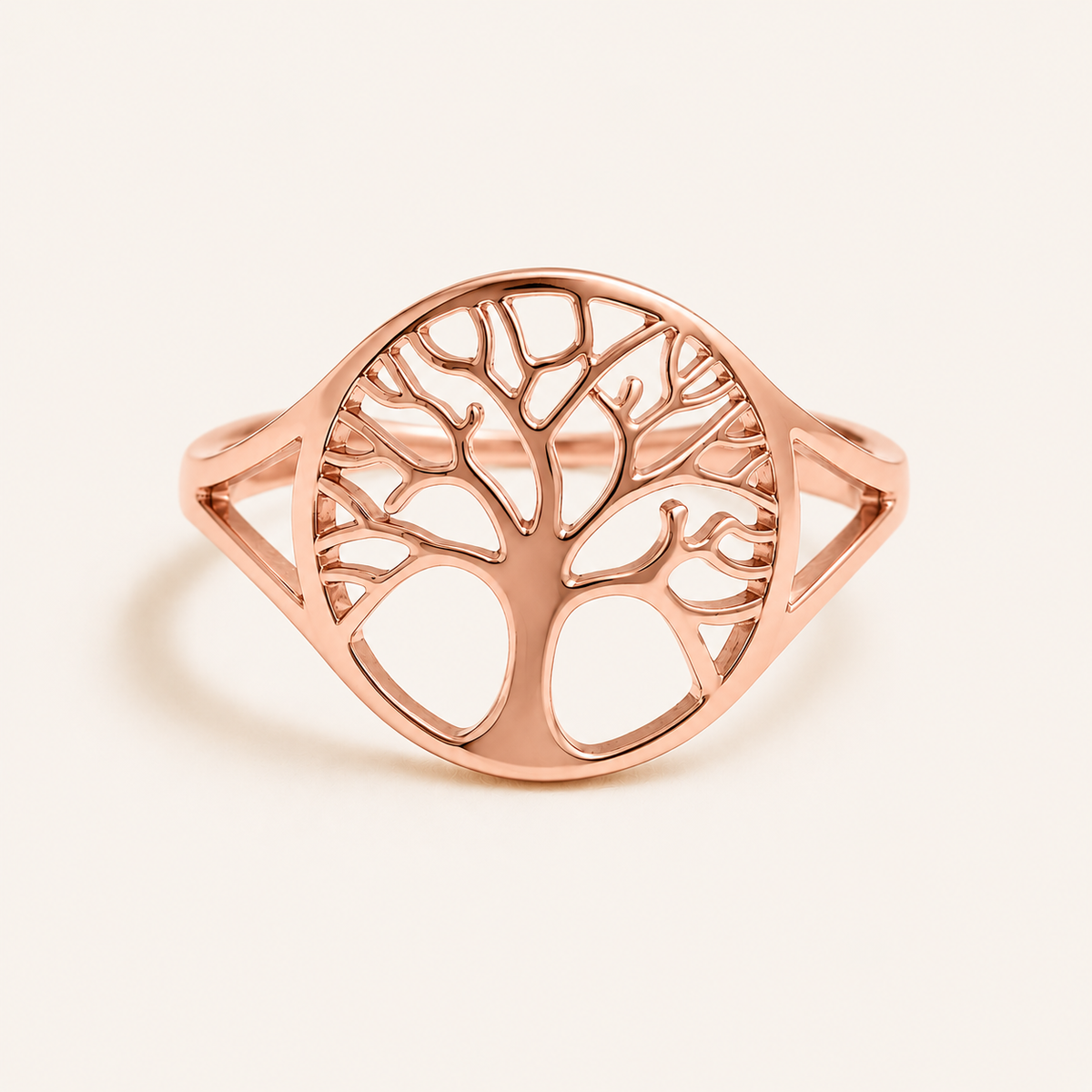 Anillo Gaia