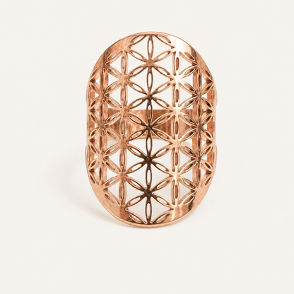 Anillo Aruna