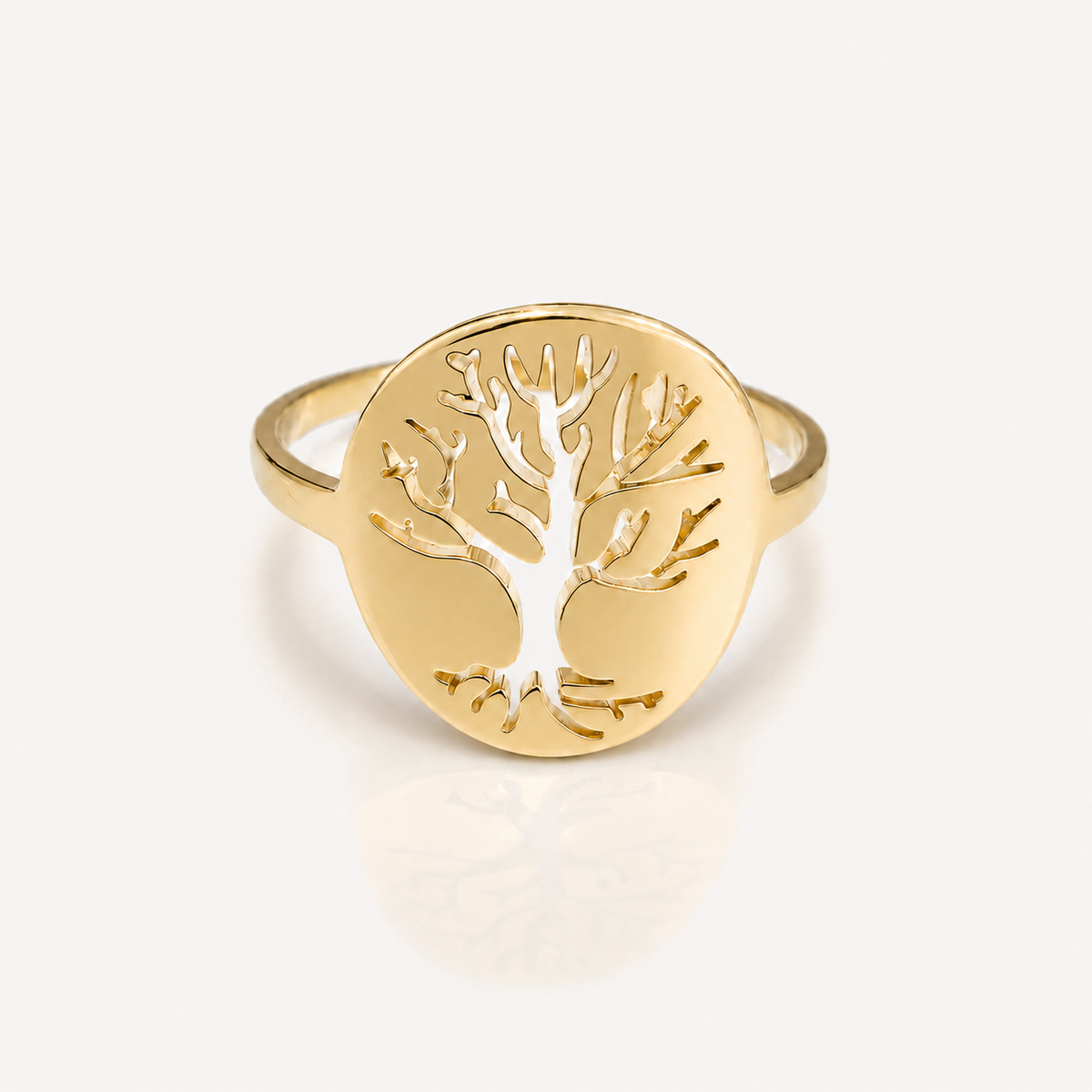 Anillo Vida