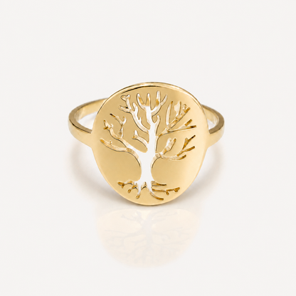 Anillo Vida