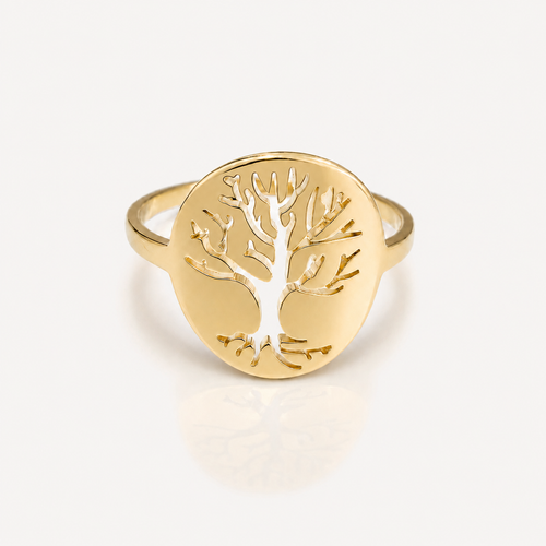 Anillo Vida