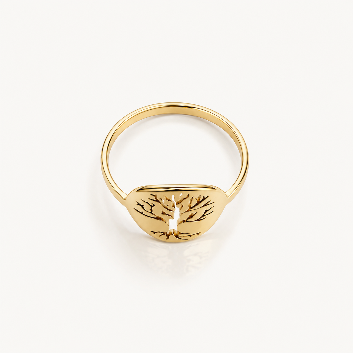 Anillo Vida