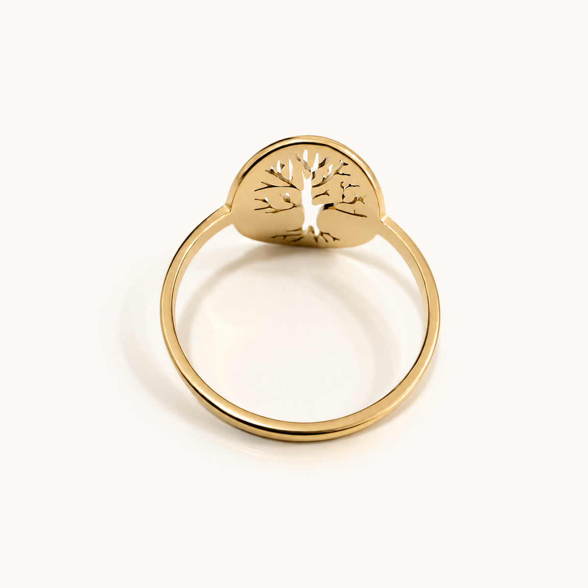 Anillo Vida