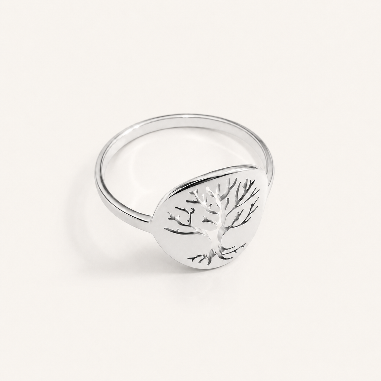 Anillo Vida