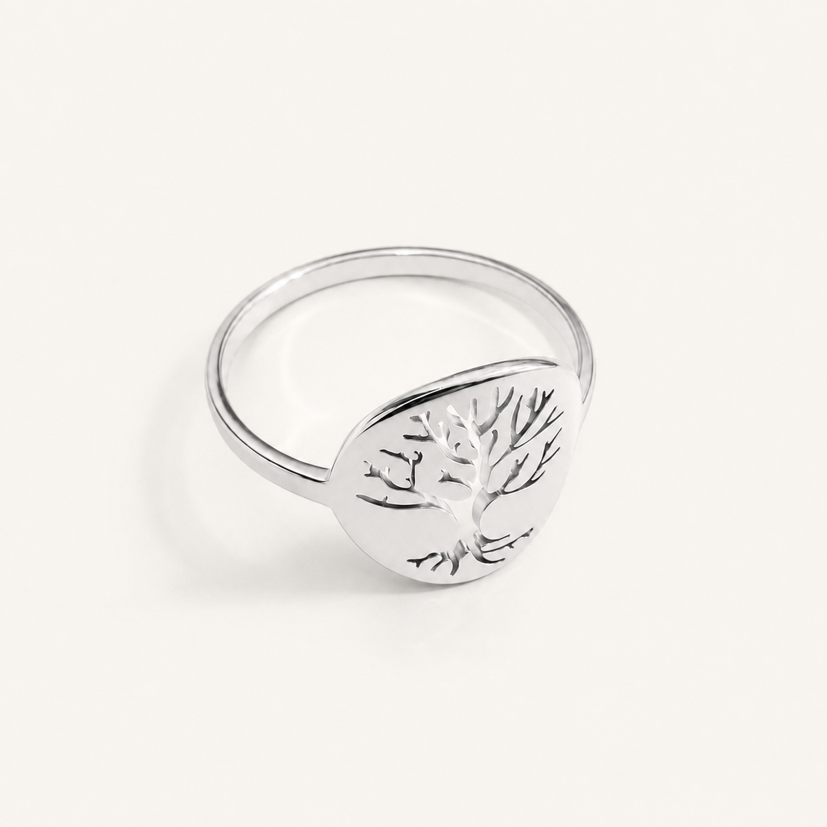 Anillo Vida