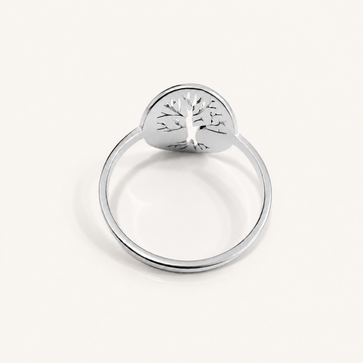 Anillo Vida