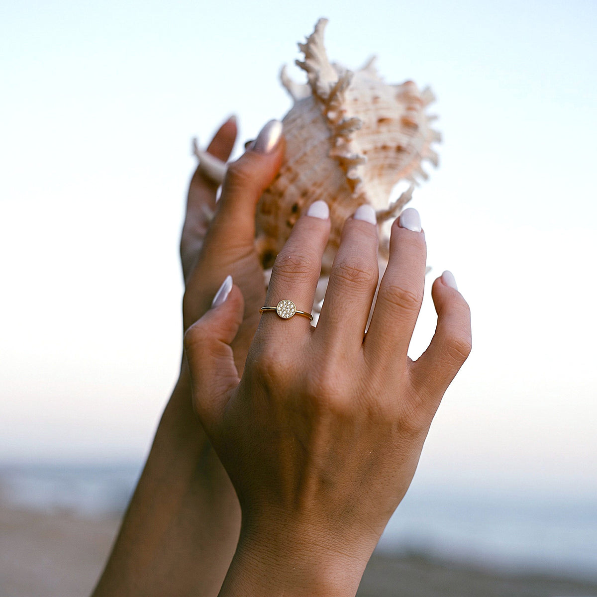 Anillo Aralia