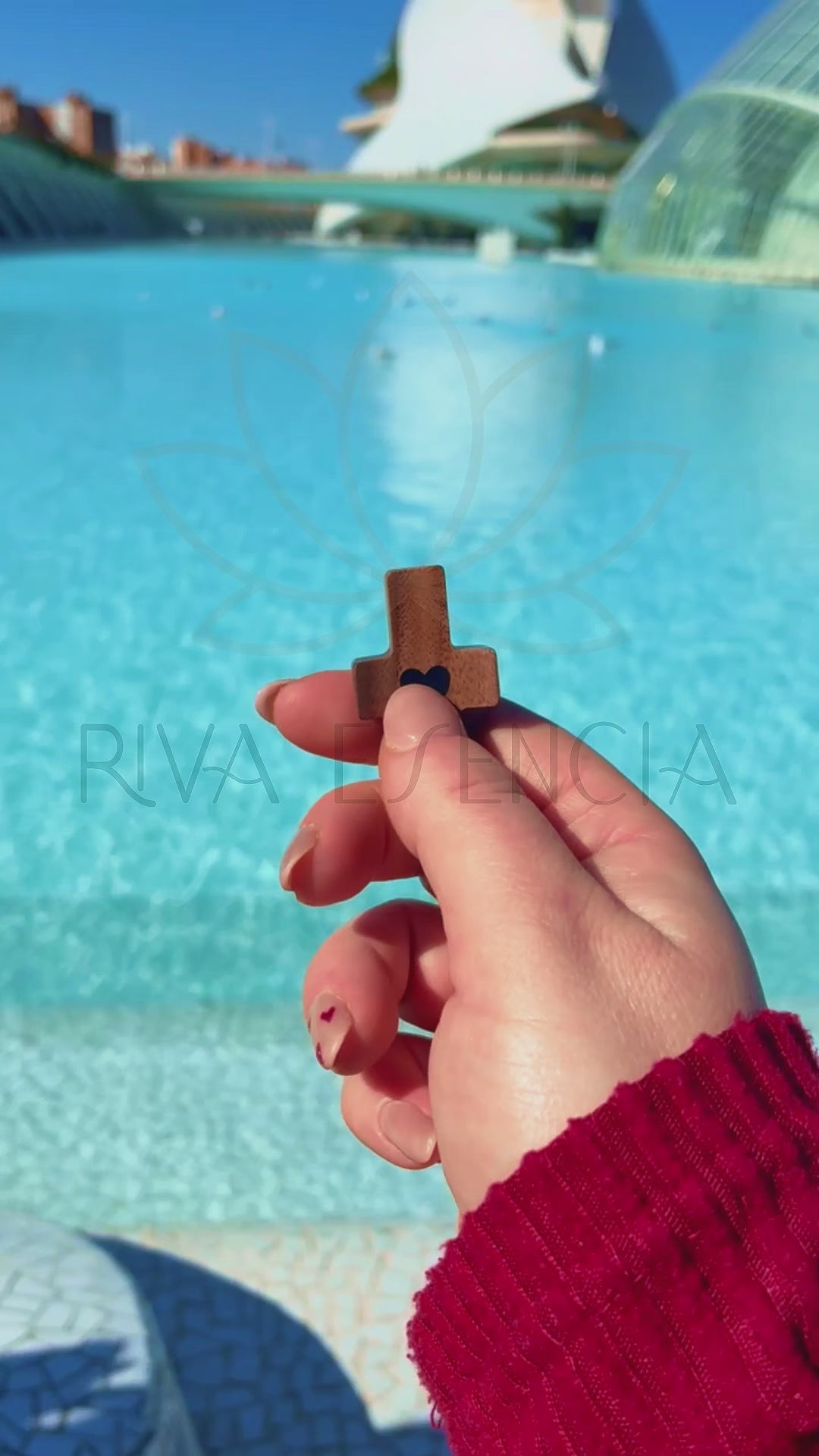 Cargar video: 